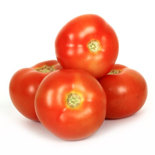 Tomato Hybrid टमाटर हाइब्रिड