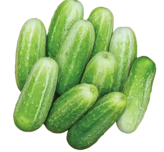 Cucumber Desi (देसी खीरा)