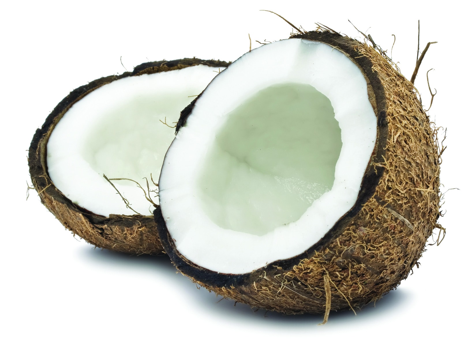 Coconut (नारियल)