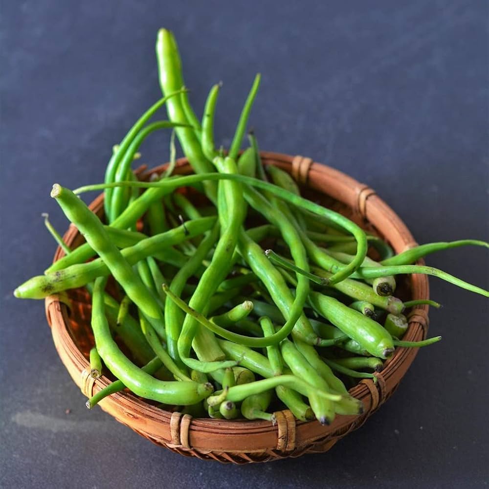 Radish Pods (सेंगरी की फली)