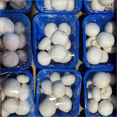 Mushroom मशरुम