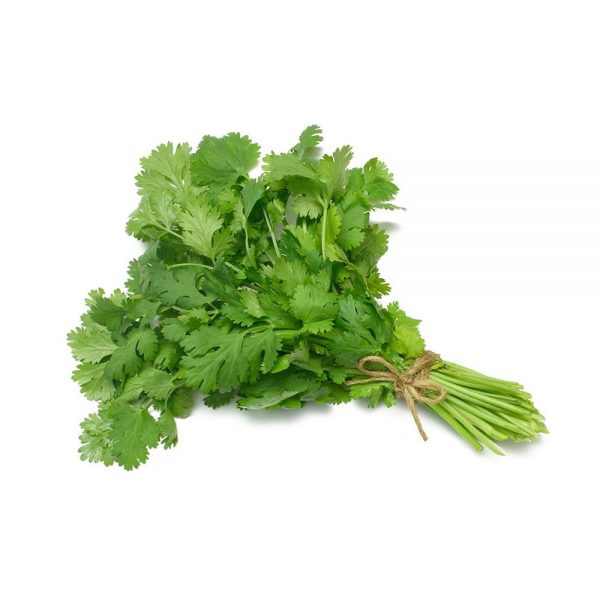 Coriander Leaf (Green Leaf) हरा धनिया / धनिया पत्ती